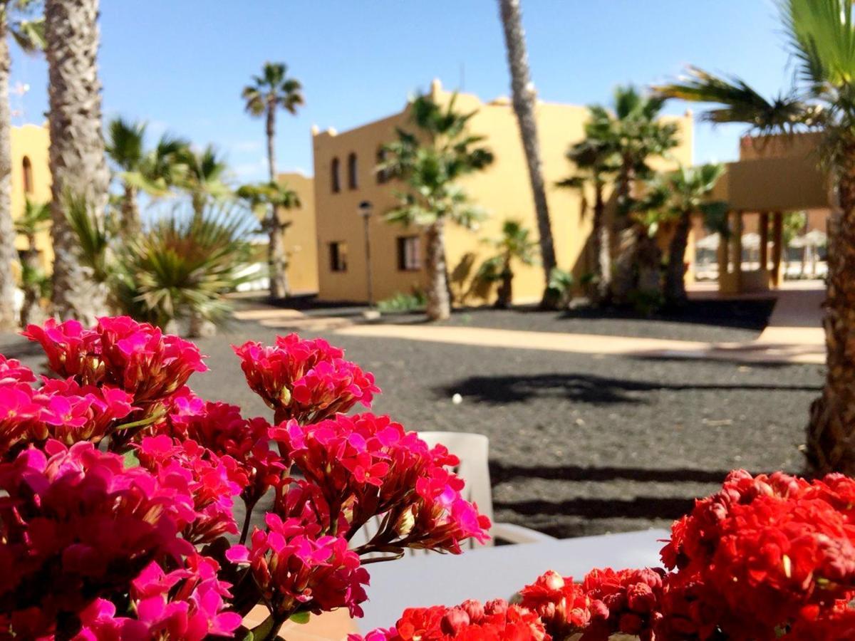 Casa Ledu - Sunny Holiday In Fuerteventura Corralejo Zewnętrze zdjęcie