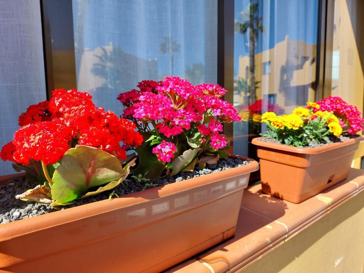 Casa Ledu - Sunny Holiday In Fuerteventura Corralejo Zewnętrze zdjęcie