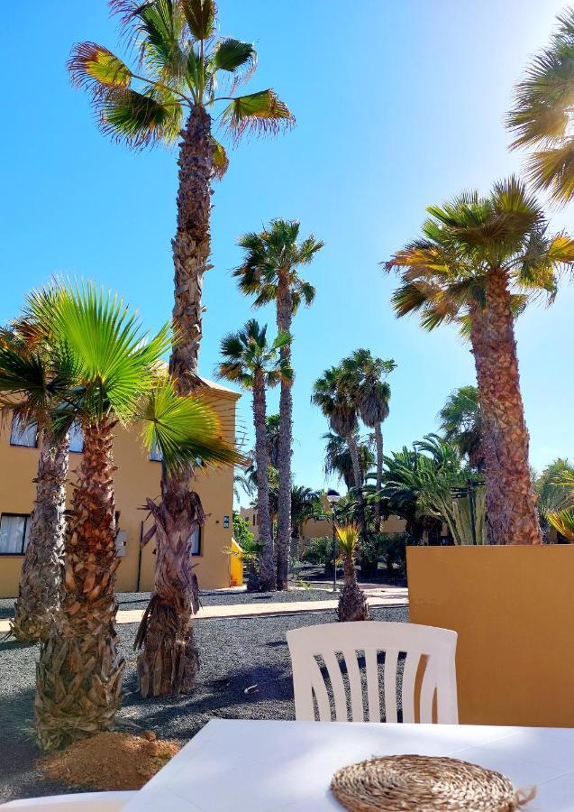Casa Ledu - Sunny Holiday In Fuerteventura Corralejo Zewnętrze zdjęcie